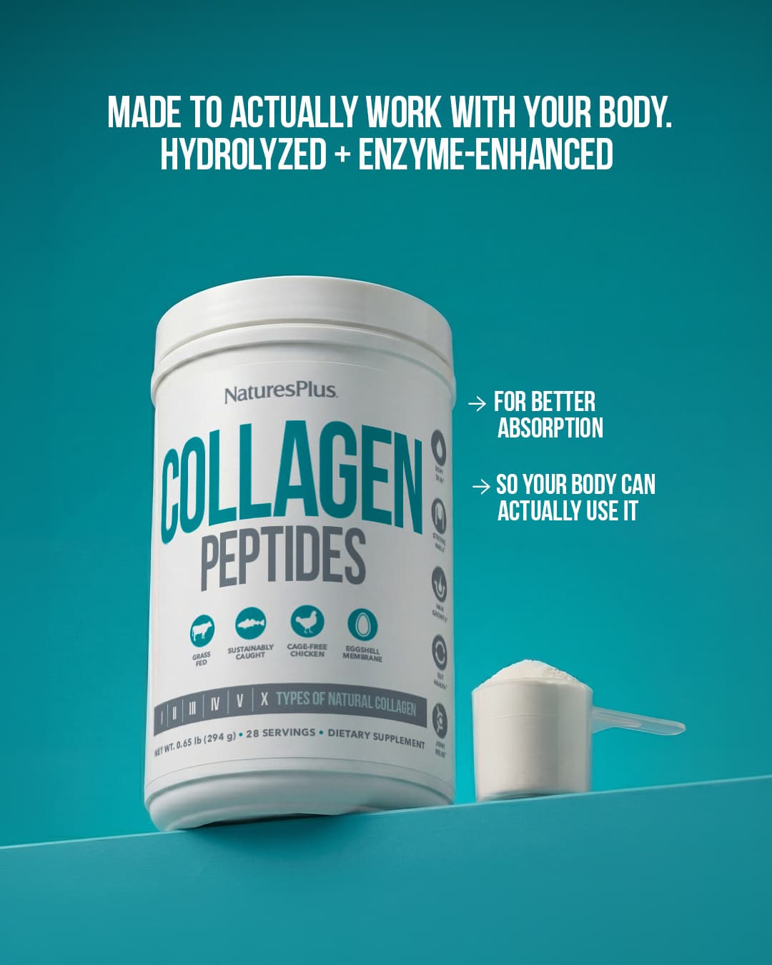Collagen Slide 5